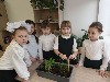 Изображение Изображение